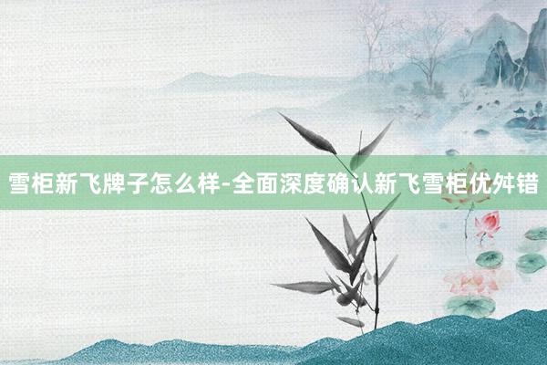 雪柜新飞牌子怎么样-全面深度确认新飞雪柜优舛错