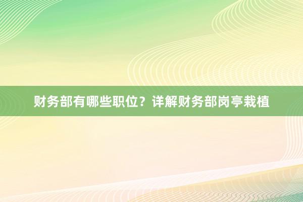财务部有哪些职位？详解财务部岗亭栽植